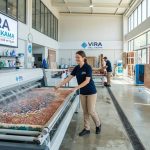 Vira Halı Yıkama Merkezi